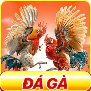 Đá gà TR88